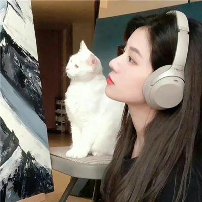 激情的颜色海报